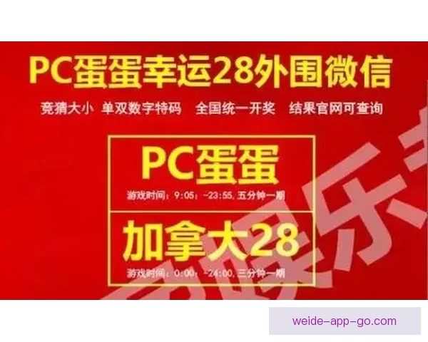 世界杯赛事全攻略：掌握精准竞猜技巧与投注技巧大全